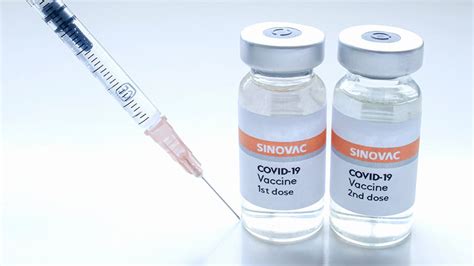 SINOVAC VACCINE .